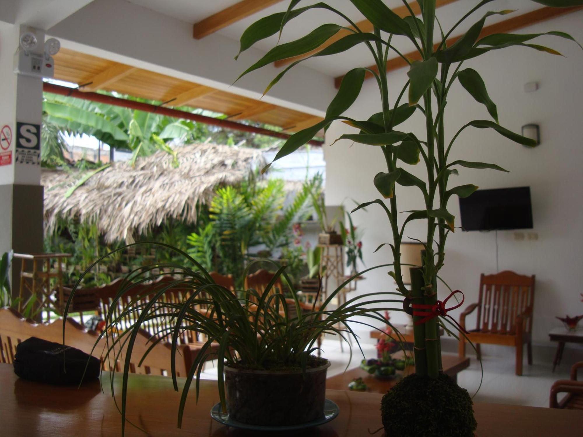 Altavista Casahotel - Asociado Casa Andina Moyobamba Exterior foto